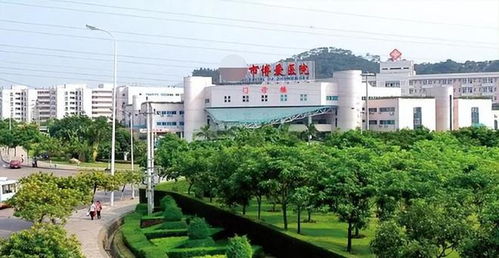 权力与堕落 中山美女院长的跌宕人生